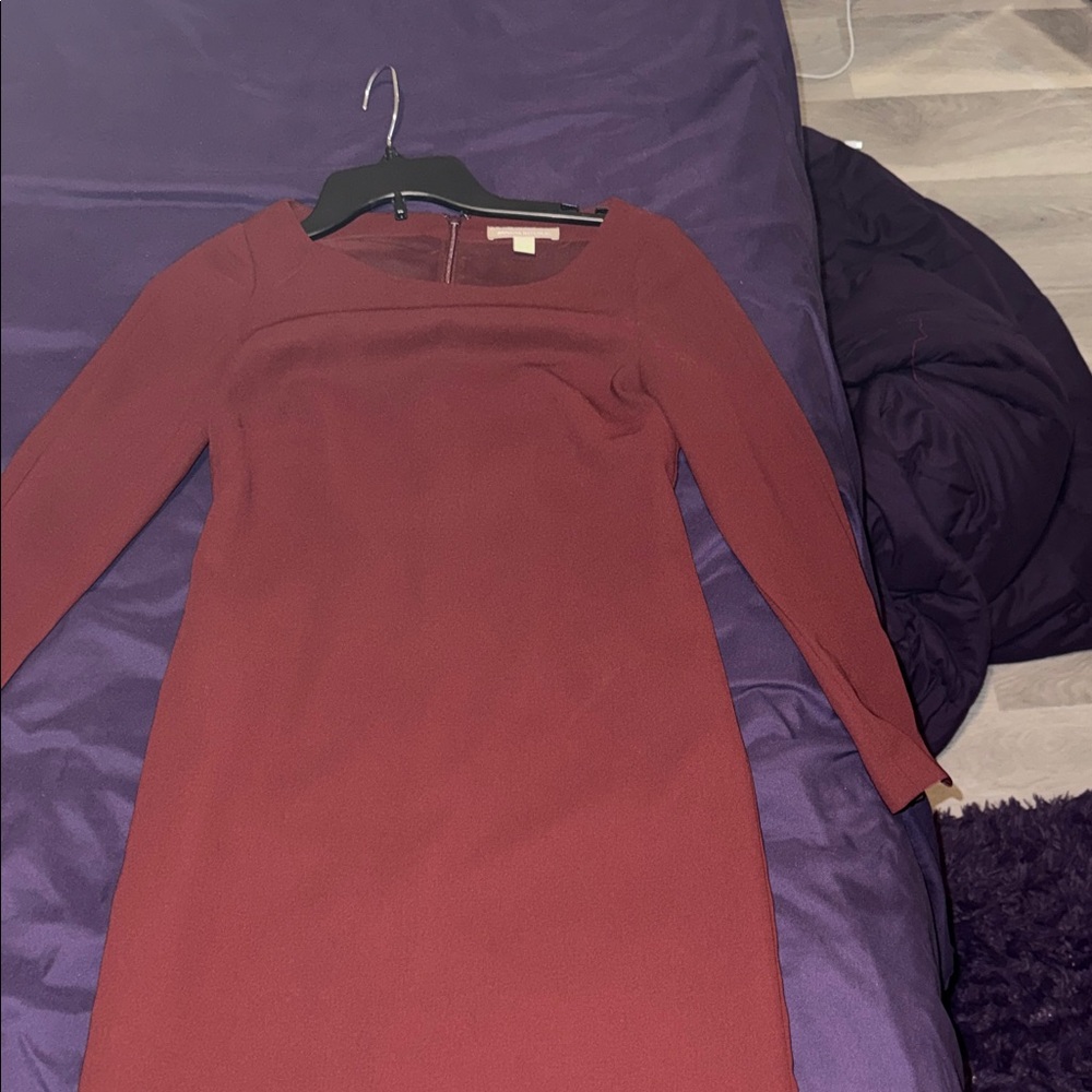 Banana Republic Long-Sleeve Rust Dress